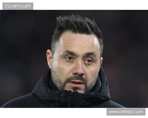 热刺球迷反对德泽尔比任命